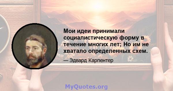 Мои идеи принимали социалистическую форму в течение многих лет; Но им не хватало определенных схем.