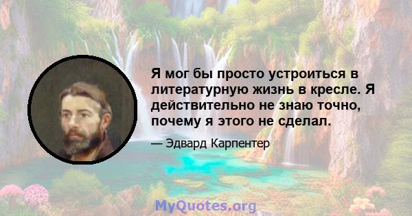 Я мог бы просто устроиться в литературную жизнь в кресле. Я действительно не знаю точно, почему я этого не сделал.