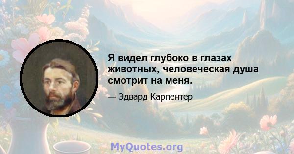 Я видел глубоко в глазах животных, человеческая душа смотрит на меня.