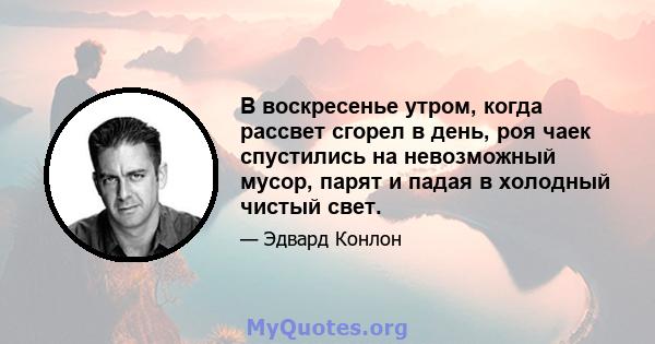 В воскресенье утром, когда рассвет сгорел в день, роя чаек спустились на невозможный мусор, парят и падая в холодный чистый свет.