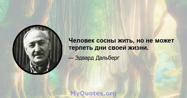 Человек сосны жить, но не может терпеть дни своей жизни.