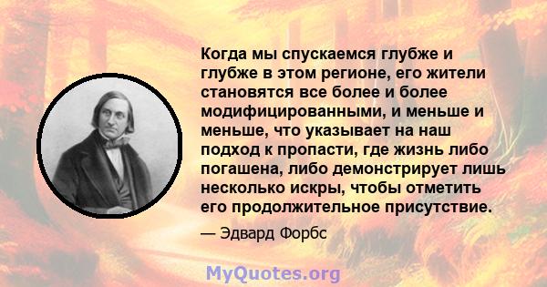 Когда мы спускаемся глубже и глубже в этом регионе, его жители становятся все более и более модифицированными, и меньше и меньше, что указывает на наш подход к пропасти, где жизнь либо погашена, либо демонстрирует лишь