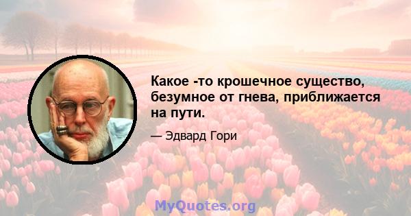 Какое -то крошечное существо, безумное от гнева, приближается на пути.