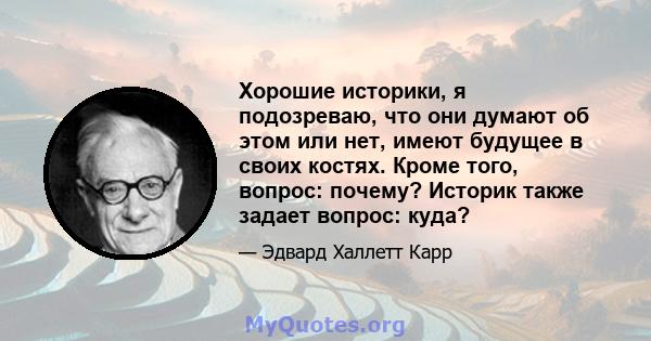 Хорошие историки, я подозреваю, что они думают об этом или нет, имеют будущее в своих костях. Кроме того, вопрос: почему? Историк также задает вопрос: куда?