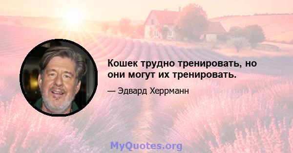 Кошек трудно тренировать, но они могут их тренировать.