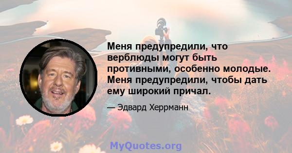 Меня предупредили, что верблюды могут быть противными, особенно молодые. Меня предупредили, чтобы дать ему широкий причал.