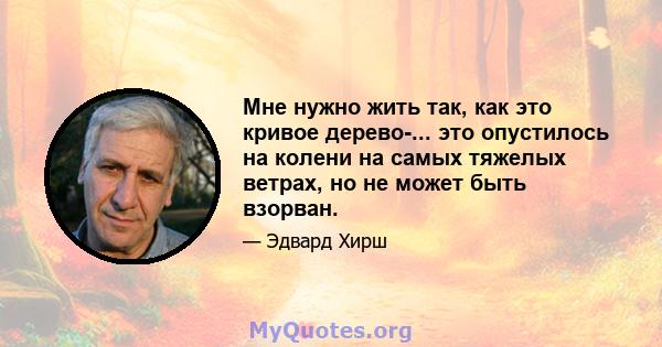 Мне нужно жить так, как это кривое дерево-... это опустилось на колени на самых тяжелых ветрах, но не может быть взорван.