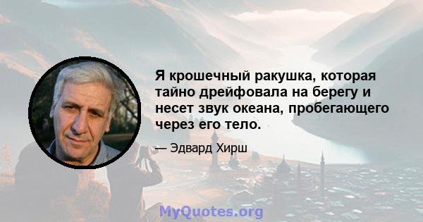 Я крошечный ракушка, которая тайно дрейфовала на берегу и несет звук океана, пробегающего через его тело.