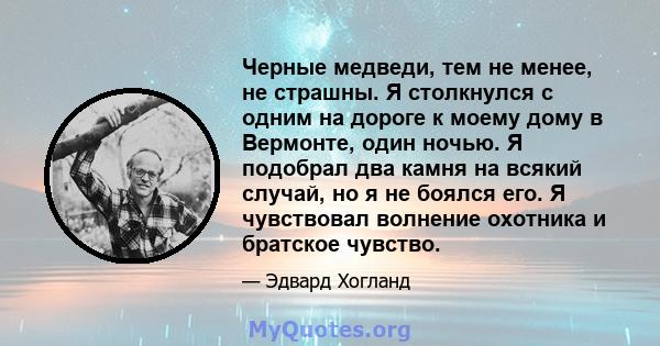 Черные медведи, тем не менее, не страшны. Я столкнулся с одним на дороге к моему дому в Вермонте, один ночью. Я подобрал два камня на всякий случай, но я не боялся его. Я чувствовал волнение охотника и братское чувство.