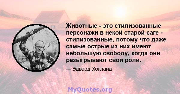 Животные - это стилизованные персонажи в некой старой саге - стилизованные, потому что даже самые острые из них имеют небольшую свободу, когда они разыгрывают свои роли.