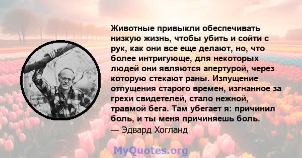 Животные привыкли обеспечивать низкую жизнь, чтобы убить и сойти с рук, как они все еще делают, но, что более интригующе, для некоторых людей они являются апертурой, через которую стекают раны. Изпущение отпущения