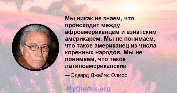 Мы никак не знаем, что происходит между афроамериканцем и азиатским америкарем. Мы не понимаем, что такое американец из числа коренных народов. Мы не понимаем, что такое латиноамериканский