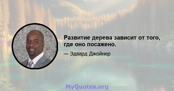 Развитие дерева зависит от того, где оно посажено.