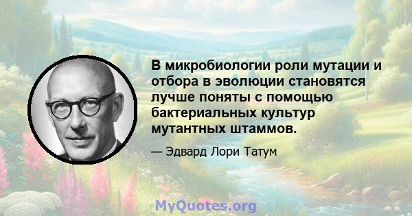 В микробиологии роли мутации и отбора в эволюции становятся лучше поняты с помощью бактериальных культур мутантных штаммов.