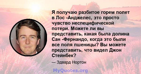 Я получаю разбитое горем полет в Лос -Анджелес, это просто чувство неспецифической потери. Можете ли вы представить, какая была долина Сан -Фернандо, когда это были все поля пшеницы? Вы можете представить, что видел