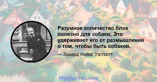 Разумное количество блох полезно для собаки; Это удерживает его от размышлений о том, чтобы быть собакой.