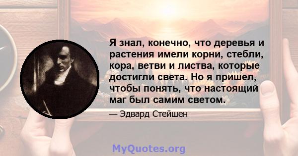 Я знал, конечно, что деревья и растения имели корни, стебли, кора, ветви и листва, которые достигли света. Но я пришел, чтобы понять, что настоящий маг был самим светом.