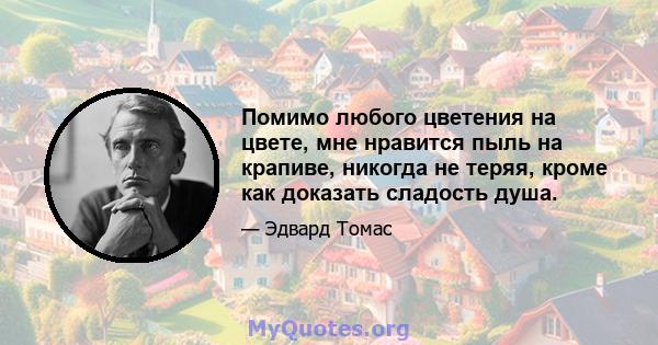 Помимо любого цветения на цвете, мне нравится пыль на крапиве, никогда не теряя, кроме как доказать сладость душа.