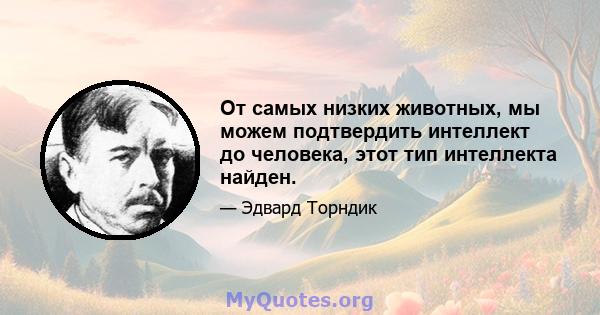 От самых низких животных, мы можем подтвердить интеллект до человека, этот тип интеллекта найден.