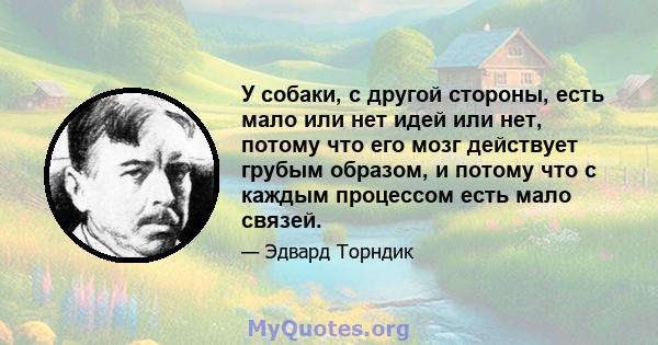 У собаки, с другой стороны, есть мало или нет идей или нет, потому что его мозг действует грубым образом, и потому что с каждым процессом есть мало связей.