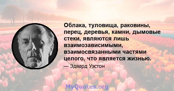 Облака, туловища, раковины, перец, деревья, камни, дымовые стеки, являются лишь взаимозависимыми, взаимосвязанными частями целого, что является жизнью.