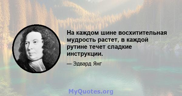 На каждом шине восхитительная мудрость растет, в каждой рутине течет сладкие инструкции.