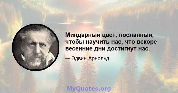 Миндарный цвет, посланный, чтобы научить нас, что вскоре весенние дни достигнут нас.