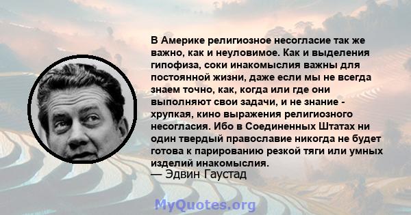 В Америке религиозное несогласие так же важно, как и неуловимое. Как и выделения гипофиза, соки инакомыслия важны для постоянной жизни, даже если мы не всегда знаем точно, как, когда или где они выполняют свои задачи, и 