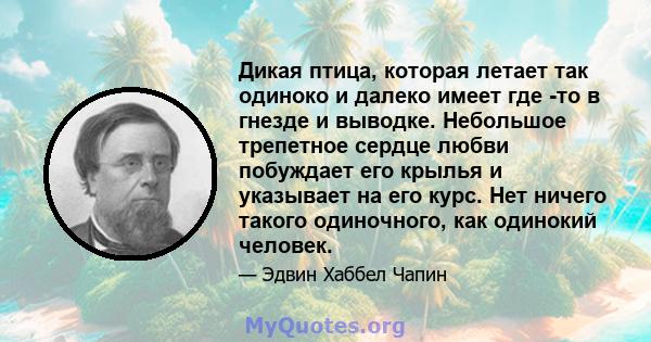 Дикая птица, которая летает так одиноко и далеко имеет где -то в гнезде и выводке. Небольшое трепетное сердце любви побуждает его крылья и указывает на его курс. Нет ничего такого одиночного, как одинокий человек.