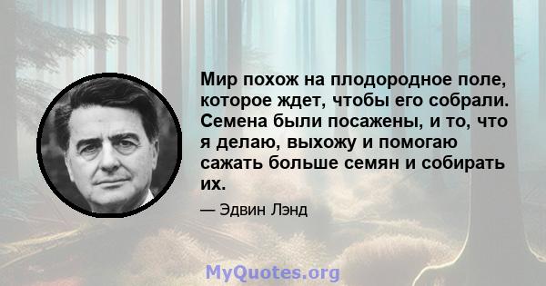 Мир похож на плодородное поле, которое ждет, чтобы его собрали. Семена были посажены, и то, что я делаю, выхожу и помогаю сажать больше семян и собирать их.