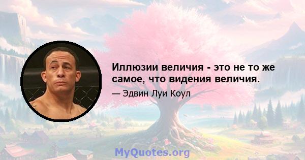 Иллюзии величия - это не то же самое, что видения величия.