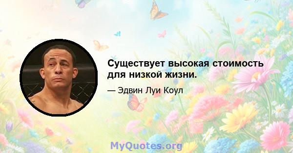 Существует высокая стоимость для низкой жизни.