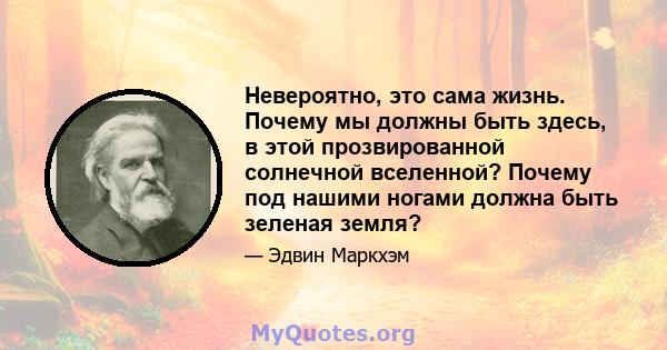 Невероятно, это сама жизнь. Почему мы должны быть здесь, в этой прозвированной солнечной вселенной? Почему под нашими ногами должна быть зеленая земля?