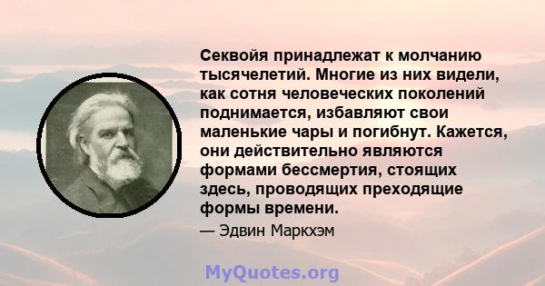 Секвойя принадлежат к молчанию тысячелетий. Многие из них видели, как сотня человеческих поколений поднимается, избавляют свои маленькие чары и погибнут. Кажется, они действительно являются формами бессмертия, стоящих