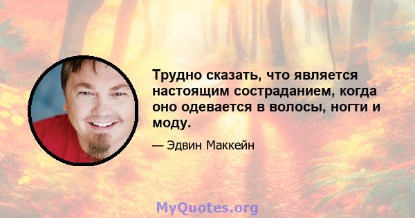 Трудно сказать, что является настоящим состраданием, когда оно одевается в волосы, ногти и моду.