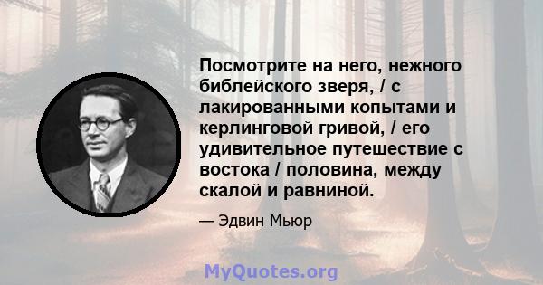 Посмотрите на него, нежного библейского зверя, / с лакированными копытами и керлинговой гривой, / его удивительное путешествие с востока / половина, между скалой и равниной.