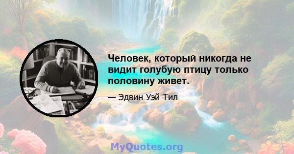 Человек, который никогда не видит голубую птицу только половину живет.