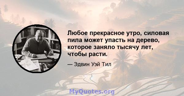 Любое прекрасное утро, силовая пила может упасть на дерево, которое заняло тысячу лет, чтобы расти.