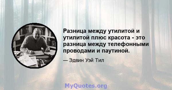 Разница между утилитой и утилитой плюс красота - это разница между телефонными проводами и паутиной.