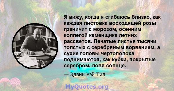 Я вижу, когда я сгибаюсь близко, как каждая листовка восходящей розы граничит с морозом, осенним коллегой каменщика летних рассветов. Печатые листья тысячи толстых с серебряным ворванием, а сухие головы чертополоха