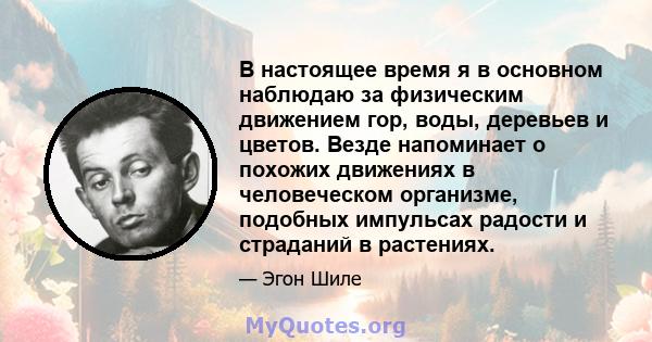 В настоящее время я в основном наблюдаю за физическим движением гор, воды, деревьев и цветов. Везде напоминает о похожих движениях в человеческом организме, подобных импульсах радости и страданий в растениях.