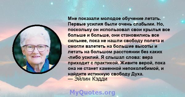 Мне показали молодое обучение летать. Первые усилия были очень слабыми. Но, поскольку он использовал свои крылья все больше и больше, они становились все сильнее, пока не нашли свободу полета и смогли взлететь на