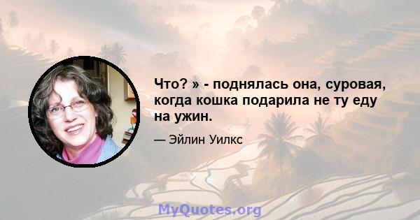 Что? » - поднялась она, суровая, когда кошка подарила не ту еду на ужин.