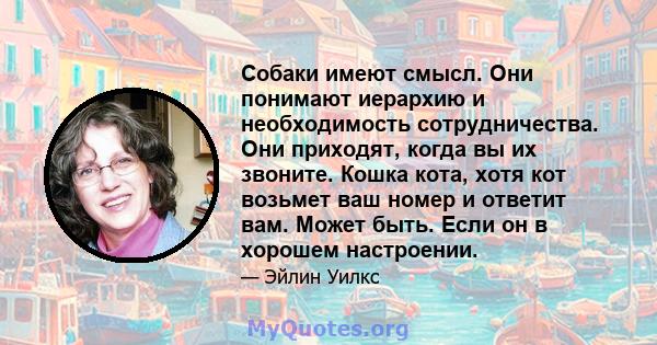 Собаки имеют смысл. Они понимают иерархию и необходимость сотрудничества. Они приходят, когда вы их звоните. Кошка кота, хотя кот возьмет ваш номер и ответит вам. Может быть. Если он в хорошем настроении.