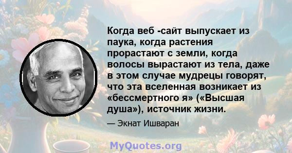 Когда веб -сайт выпускает из паука, когда растения прорастают с земли, когда волосы вырастают из тела, даже в этом случае мудрецы говорят, что эта вселенная возникает из «бессмертного я» («Высшая душа»), источник жизни.