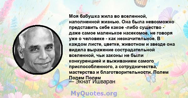 Моя бабушка жила во вселенной, наполненной жизнью. Она была невозможно представить себе какое -либо существо - даже самое маленькое насекомое, не говоря уже о человеке - как незначительное. В каждом листе, цветке,