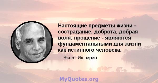 Настоящие предметы жизни - сострадание, доброта, добрая воля, прощение - являются фундаментальными для жизни как истинного человека.