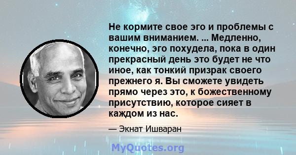 Не кормите свое эго и проблемы с вашим вниманием. ... Медленно, конечно, эго похудела, пока в один прекрасный день это будет не что иное, как тонкий призрак своего прежнего я. Вы сможете увидеть прямо через это, к