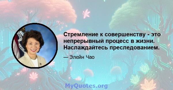 Стремление к совершенству - это непрерывный процесс в жизни. Наслаждайтесь преследованием.