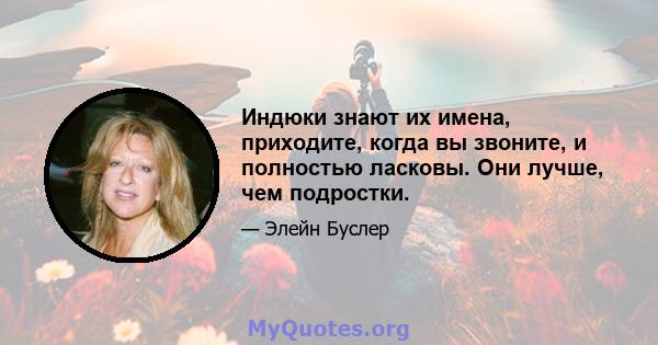 Индюки знают их имена, приходите, когда вы звоните, и полностью ласковы. Они лучше, чем подростки.